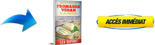 livre de recettes pour végétarien et végétalien de fromages à la noix de cajou